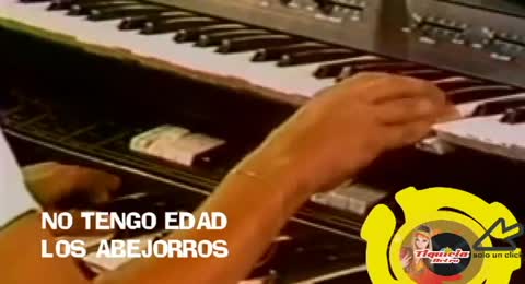 NO TENGO EDAD   LOS ABEJORROS