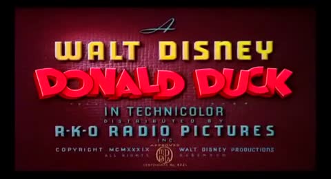 Walt Disney   El Pato Donald   Picnic en la playa    En Espa  ol   HQ 