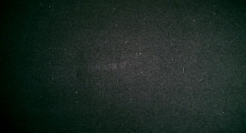 0002t FwS S41E06 MillionsOfCats