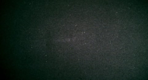 0002z FwS S43E04 ZeldaTheZombie
