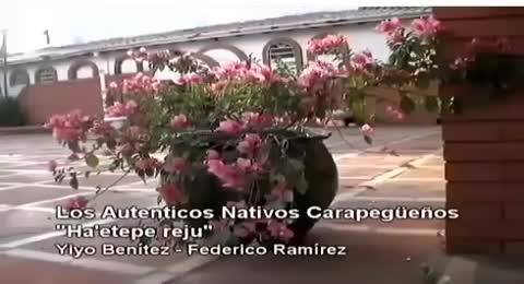 Los Autenticos Nativos Carapegue  os D  o Le  n servin Videosclips  Folkpar 
