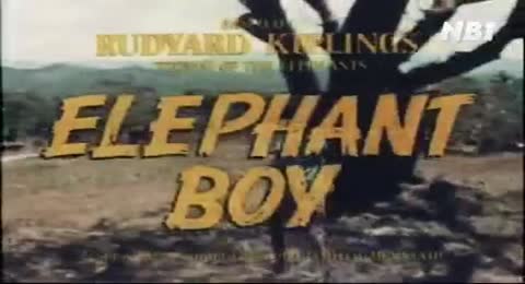 elephant boy 01 mp4