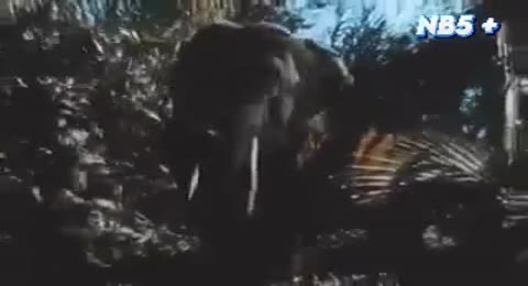 Tarzan   Saison 1   pisode 02   La vengeance