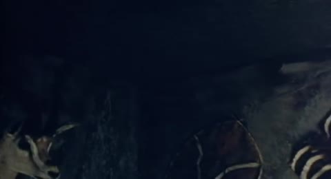 Toto   Africa  Video 