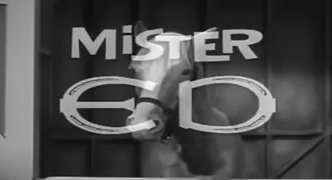 28 Mr Ed