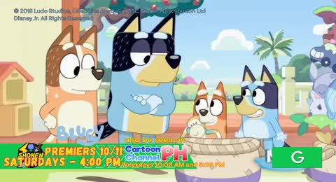 Bluey Promo