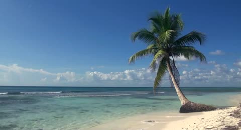 6501 DHansen TropicalIsland p1 6 30m00s