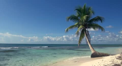 6502 DHansen TropicalIsland p2 6 30m00s