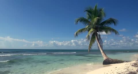 6504 DHansen TropicalIsland p4 6 30m00s