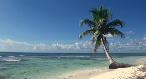6505 DHansen TropicalIsland p5 6 30m00s