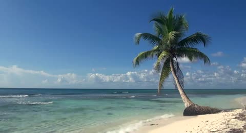 6506 DHansen TropicalIsland p6 6 29m50s