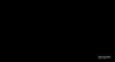 1 ZOOM