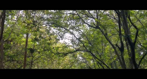 Ninnodu ParayuvaanSumathi Valavu