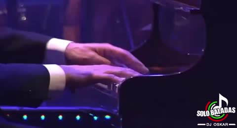 MARINERO DE LUCES VIVO