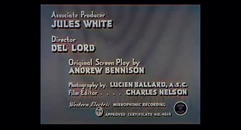 038 Los Tres Chiflados    Al agua  patos    A Color 1939  Audio Latino  REMASTERIZADO