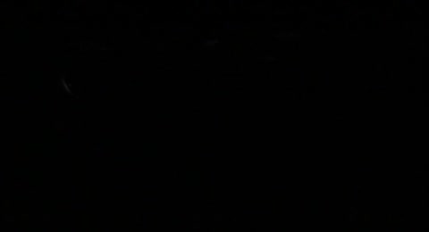 La Muerte Tiene Cara De Angel  1994 