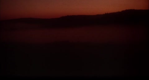 P  nico antes del amanecer  1981 