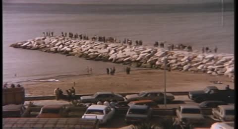 Mirame la palomita  1985 