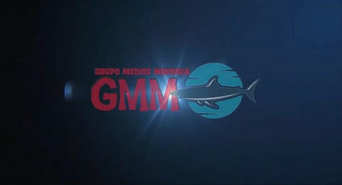 My Hero Academia Dos h  roes 01