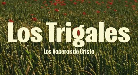 Los Trigales   Los Voceros de Cristo  Lyric Video 
