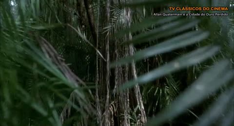 Allan Quatermain e a Cidade do Ouro Perdido 1986 tv classicos