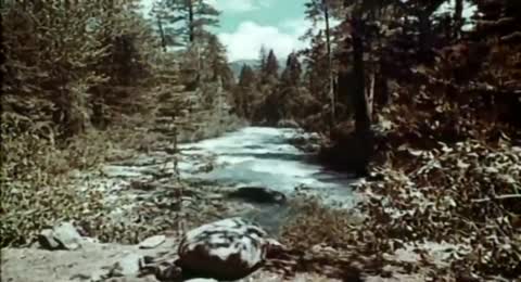 El Viaje de Lassie 1966 Larga duracion