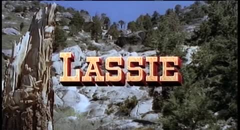 Lassie en Colinas Pintadas 1951