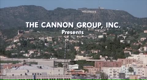 The Last American Virgin  1982 