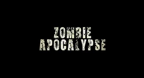 Zombie Apocalypse  2011 