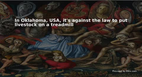bizarre laws that actually exist facts