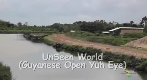 UnSeen World  Guyanese Open Yuh Eye 