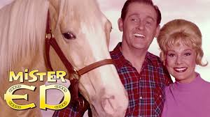 GIA TV - Mister Ed